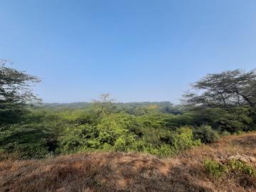 Sanjay Van
