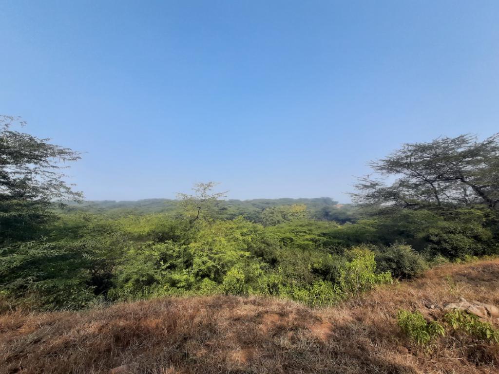 Sanjay Van