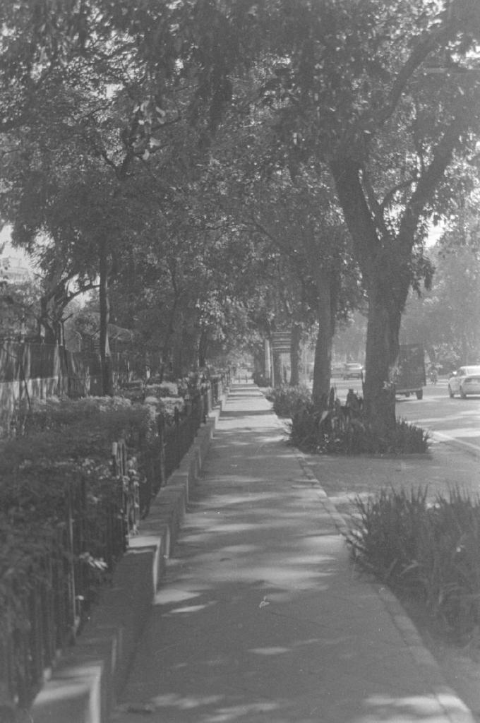 Rodinal - I