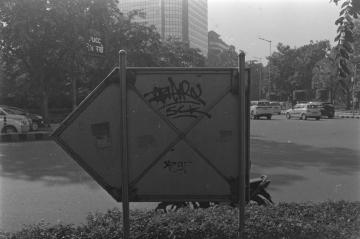 Rodinal - I