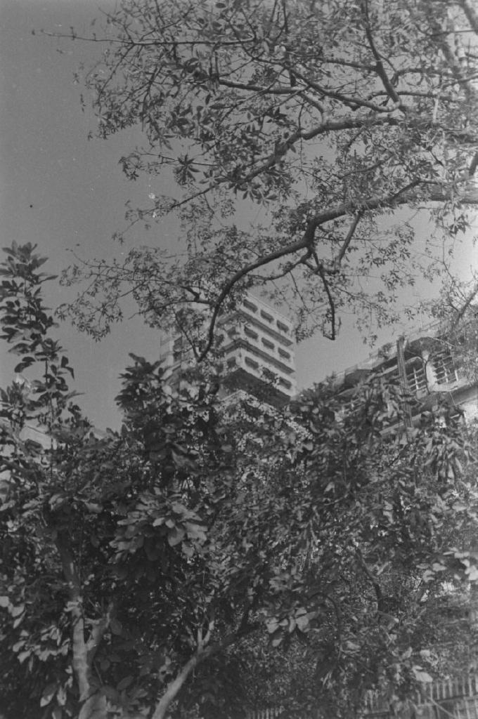Rodinal - I