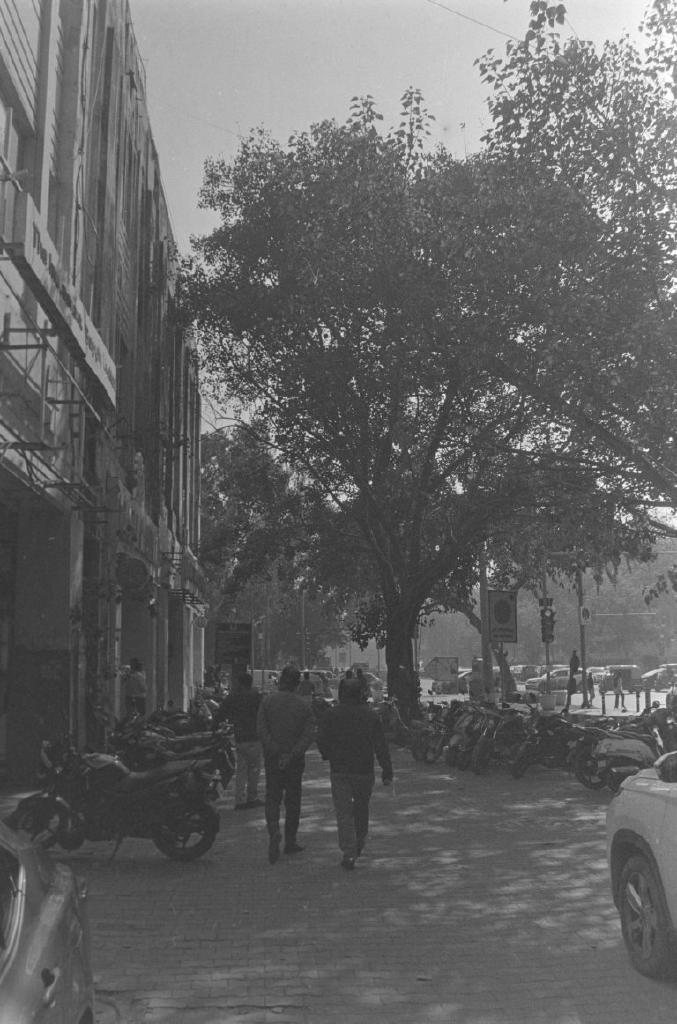 Rodinal - I