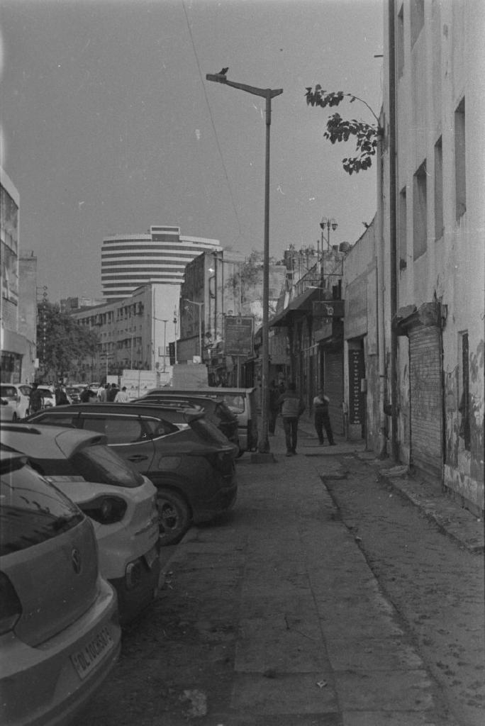 Rodinal - I