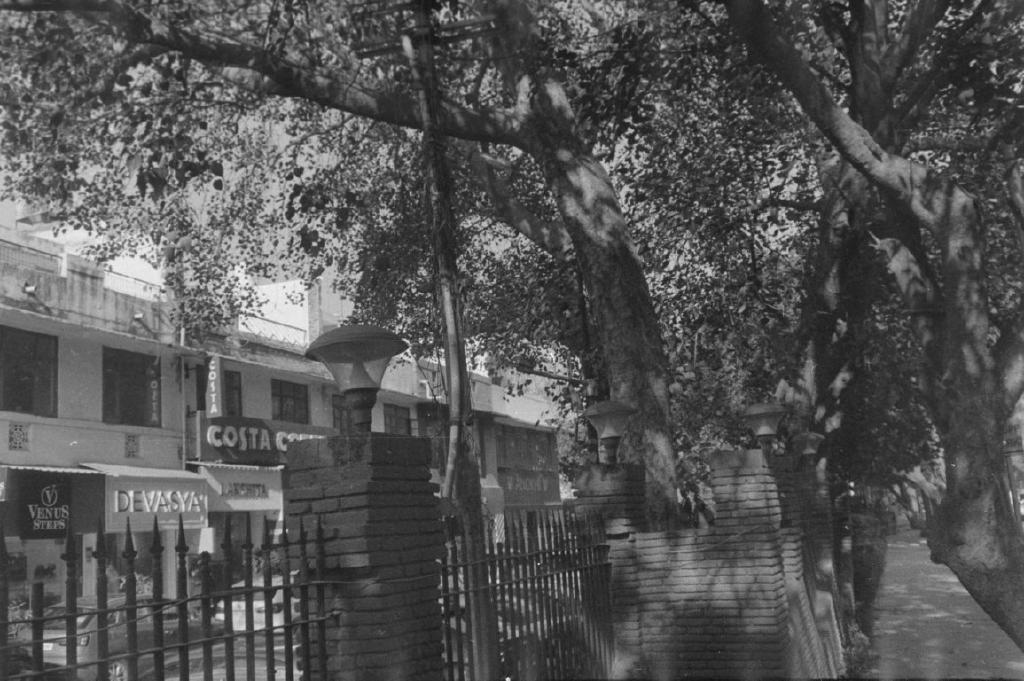 Rodinal - I