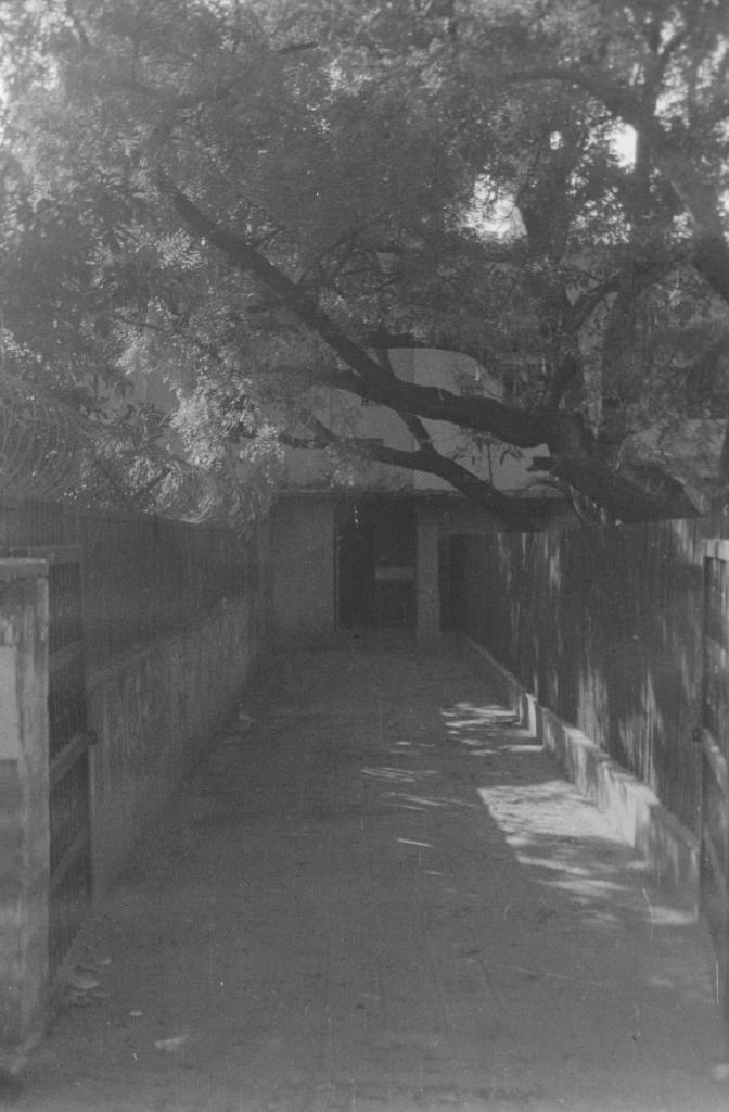 Rodinal - I