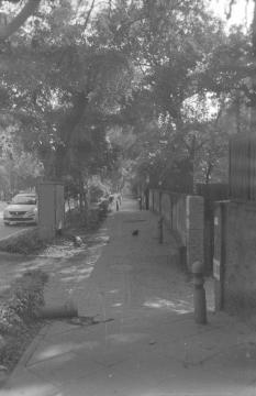 Rodinal - I