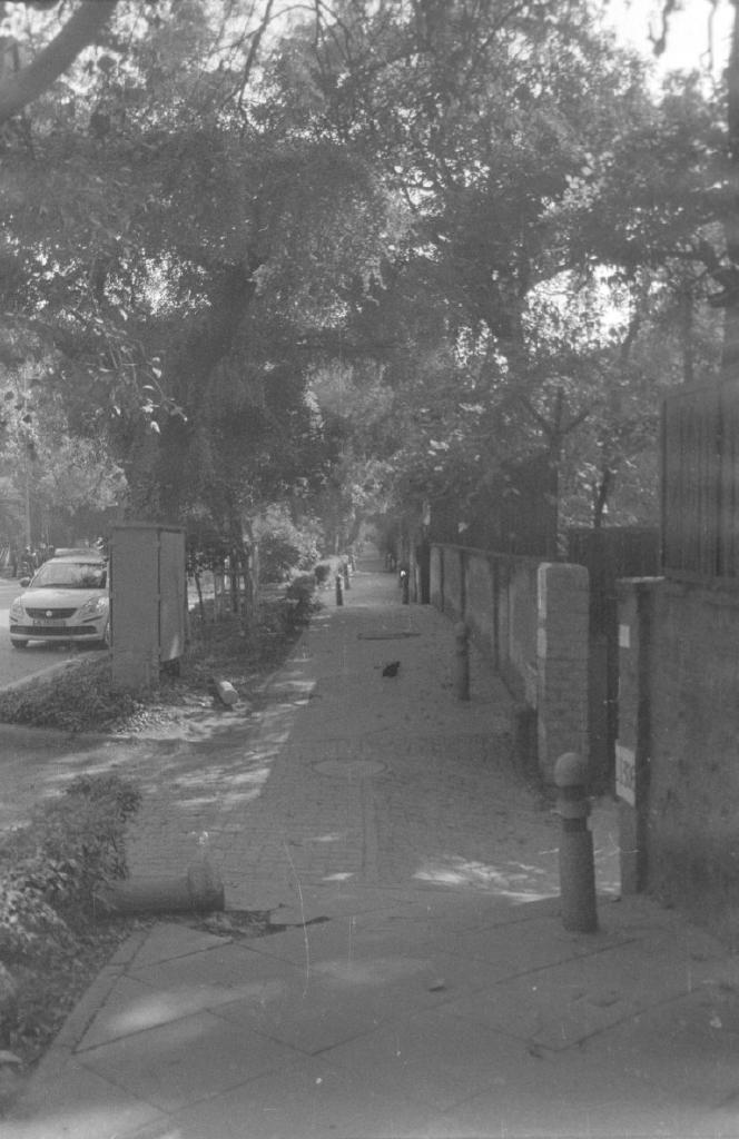 Rodinal - I