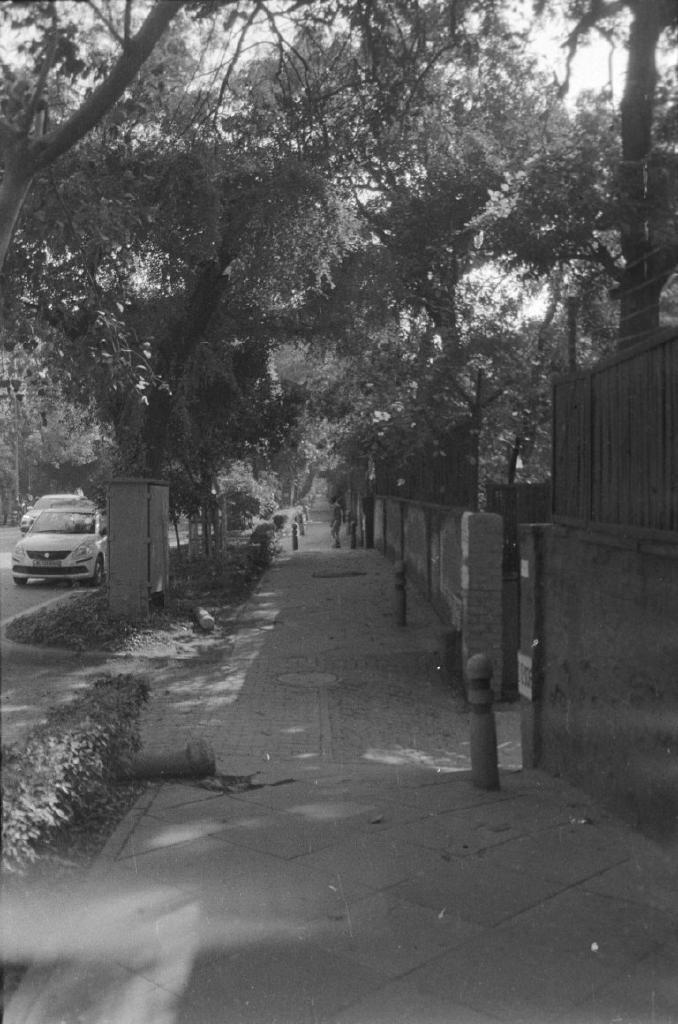 Rodinal - I