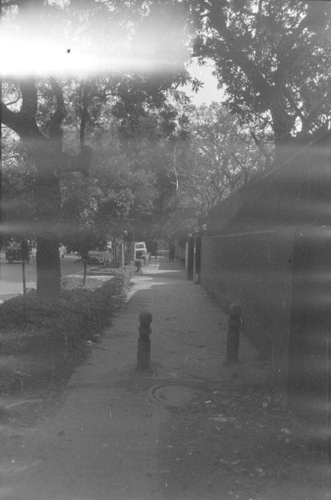 Rodinal - I
