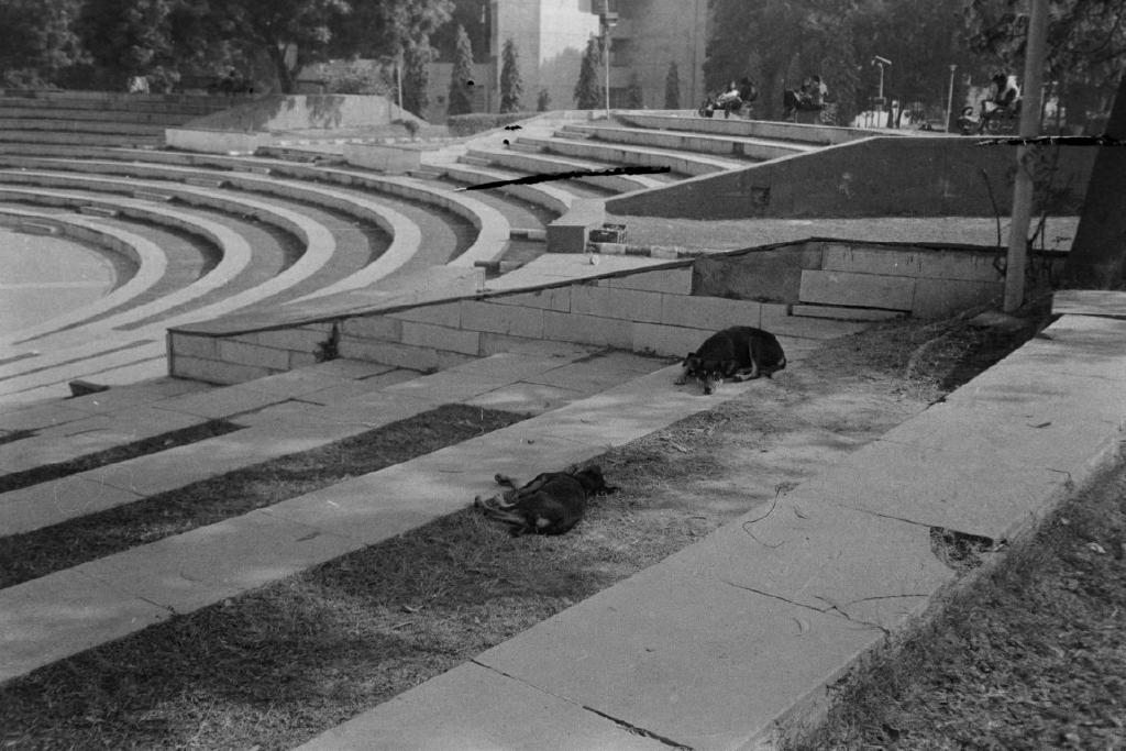 Rodinal - I